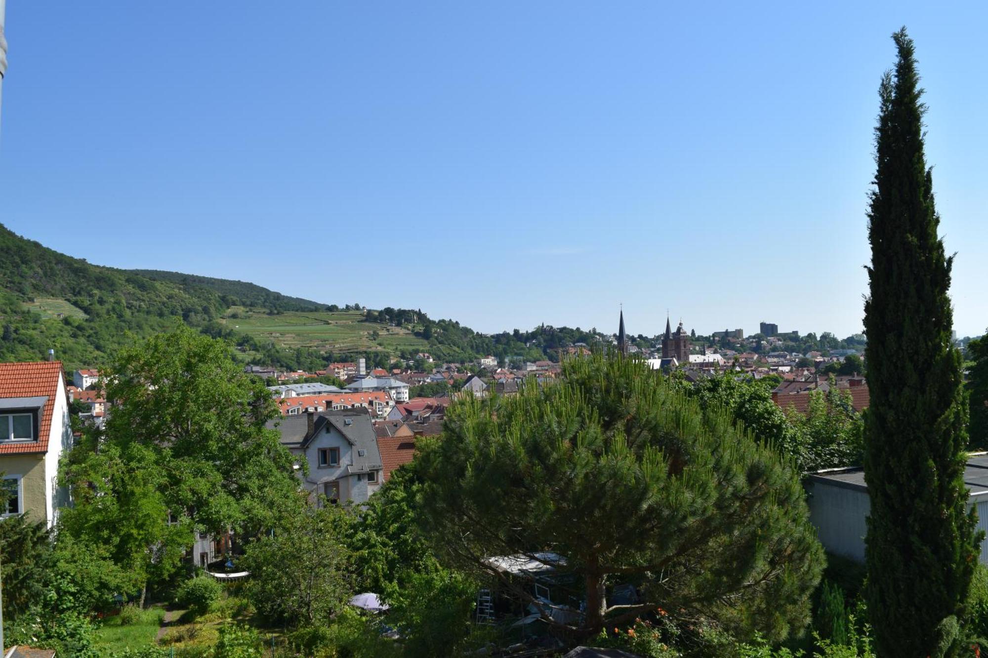 Ferienwohnung Ruth Нойштадт-ан-дер-Вайнштрасе Экстерьер фото